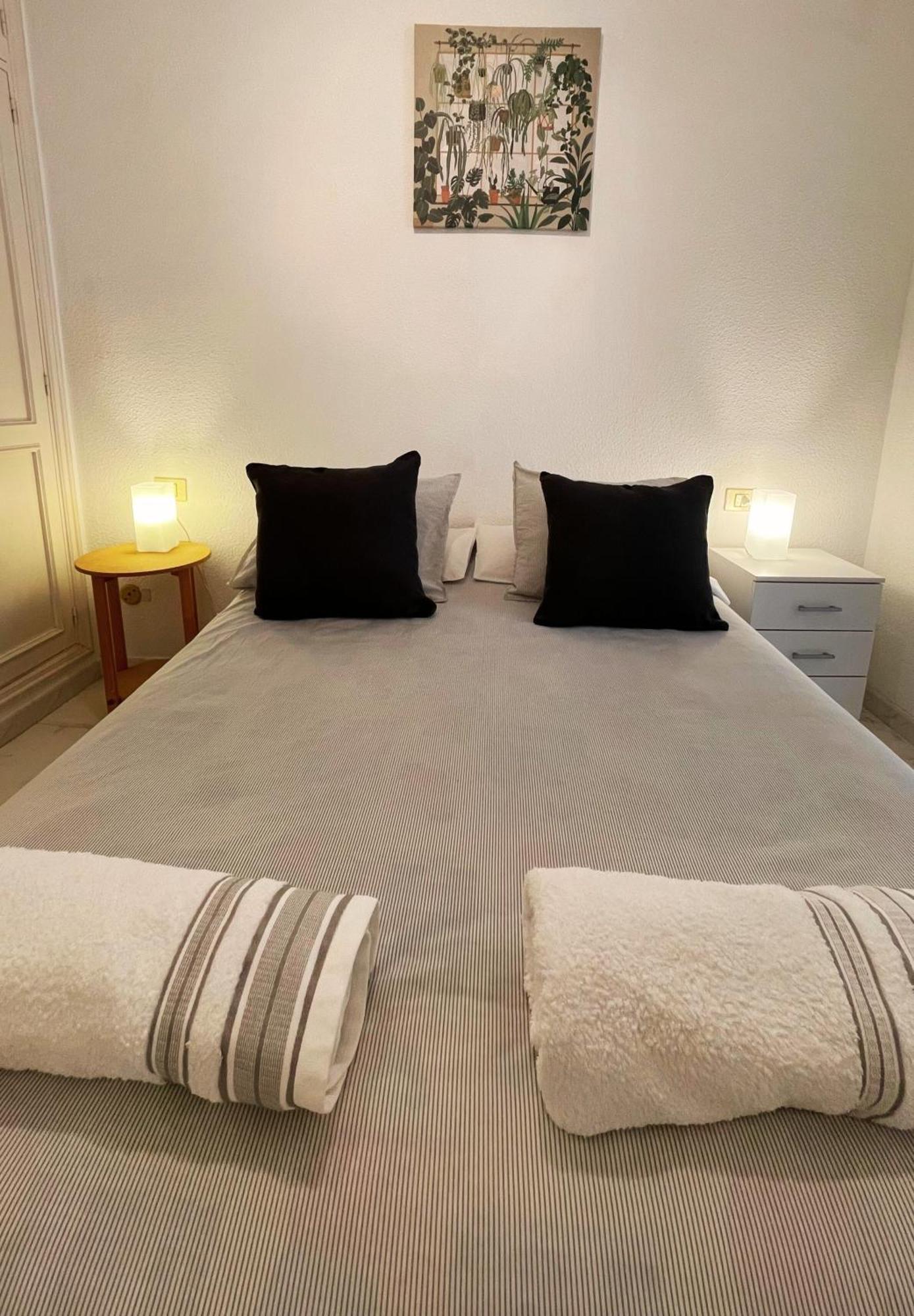 Acogedor Apartamento En El Corazon De La Laguna 拉拉古纳 外观 照片